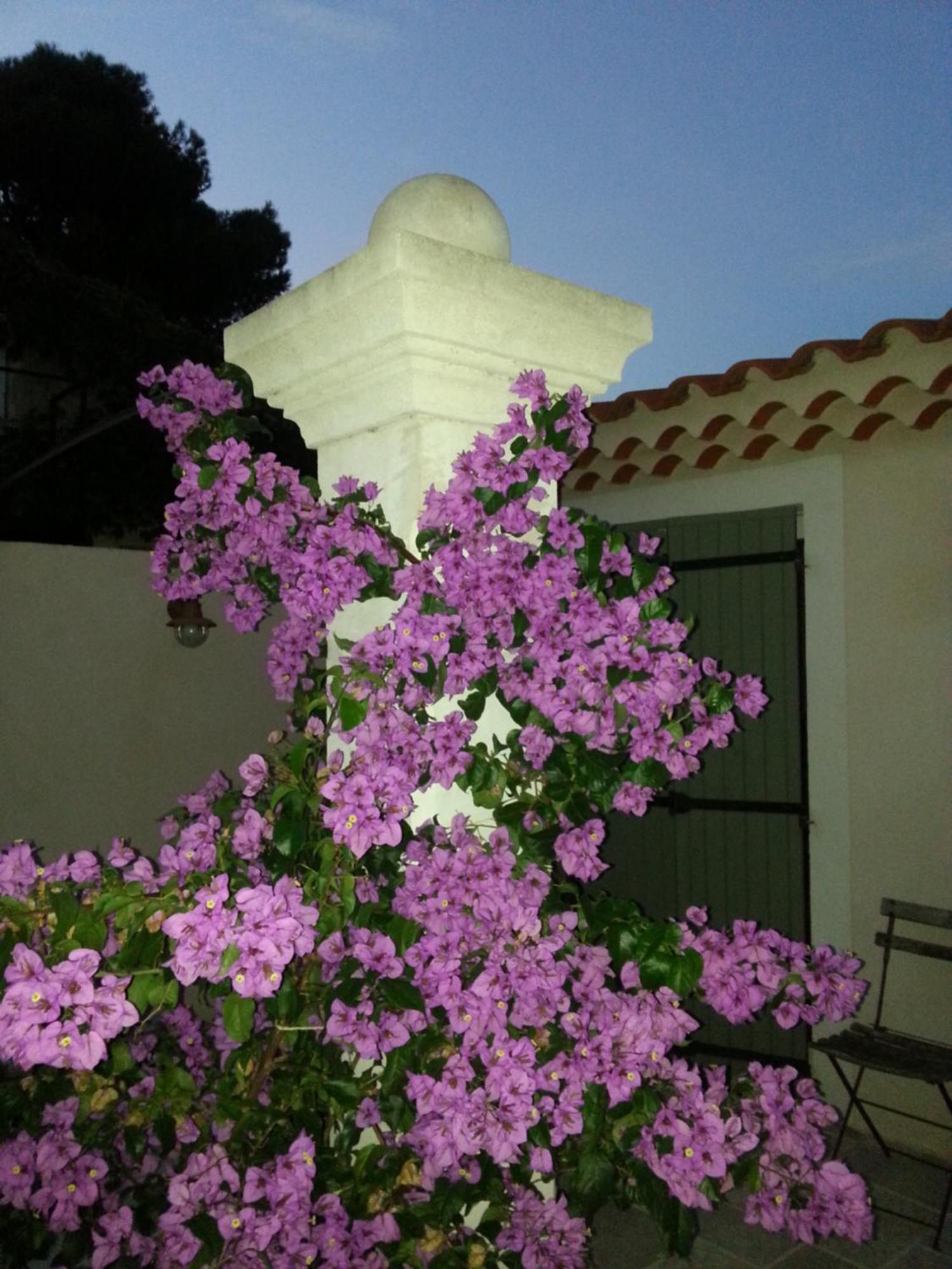 Gite Le Felibre Châteauneuf-lès-Martigues Habitación foto